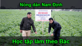 Nông dân Nam Định học tập và làm theo Bác