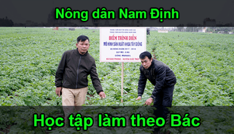Nông dân Nam Định học tập và làm theo Bác