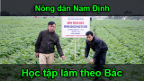 Nông dân Nam Định học tập và làm theo Bác