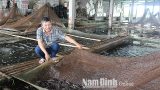 “Vua cá bống bớp” Nghĩa Hưng Nam Định