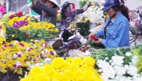 Chợ hoa đêm ở Thành Nam