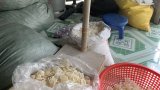 Thu hơn 320.000 bao cao su đã qua sử dụng được tái chế