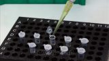 Bốn trong số 7 bệnh nhân mắc COVID-19 tại Nam Định xuất viện