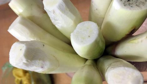 Cư dân mạng lùng sục củ niễng Nam Định, xuýt xoa với những món ngon thuộc dạng “cực phẩm”