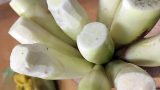 Cư dân mạng lùng sục củ niễng Nam Định, xuýt xoa với những món ngon thuộc dạng “cực phẩm”