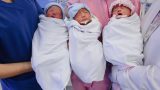 Mổ thành công ca sinh 3 hiếm gặp, 2 bé trai 1 bé gái chào đời khỏe mạnh