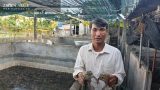 Nuôi toàn con đặc sản, lão nông Nam Định bỏ túi hàng trăm triệu đồng/năm