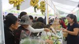 Khai trương Trung tâm giới thiệu sản phẩm nông nghiệp sạch tỉnh Nam Định