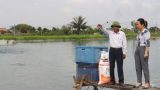 Nam Định: Nuôi cá trắm đen, lãi cả tỷ đồng