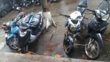 Triệt phá ổ nhóm trộm cắp xe máy đắt tiền liên huyện