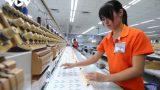 Năm 2020: 32,1 triệu người bị tác động bởi Covid-19, bị mất 1,6 triệu việc làm