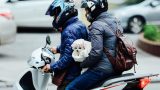 Rét “căng đét” 14 độ, 10/10 sinh viên cho biết không thể ra khỏi giường vào thời tiết này