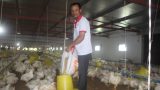 Nam Định: Nhiều nông dân giỏi, nông dân tỷ phú được Thủ tướng Chính phủ tặng Bằng khen