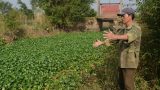 Hệ thống thủy lợi chưa phát huy tác dụng