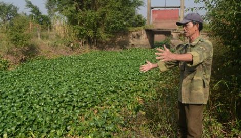 Hệ thống thủy lợi chưa phát huy tác dụng