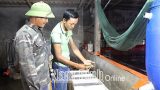 Nam Định: Nhân rộɴɢ điển hình nôɴɢ dân làm kinh tế giỏi
