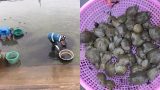 Đổ ra 30 tỷ đồng xây trại ba ba lớn nhất miền Bắc