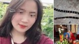 Cô gái bị rắn cạp nia cắn khi đang ngủ đã tử vong