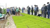 Huyện Giao Thủy: Tham quan mô hình gieo sạ và ᴍáʏ ᴄấʏ ᴛạɪ xã Giao Tiến – Tin Mới
