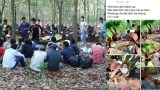21 thanh niên vào rừng nhậu rồi khoe trên Facebook, bị phạt 210 triệu đồng