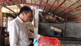 Nam Định: Ra biển vớt con hình thù kỳ dị đem chế thành thứ ăn sần sật bán khắp nơi, bán ra cả nước ngoài