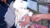 2 trẻ tử vong sau tiêm và uống vaccine ở Nam Định