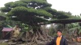 Bí mật của những người làm nghề “Đánh cắp thời gian”
