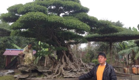Bí mật của những người làm nghề “Đánh cắp thời gian”