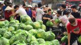 Giải cứu hàng chục tấn nông sản cho Hải Dương