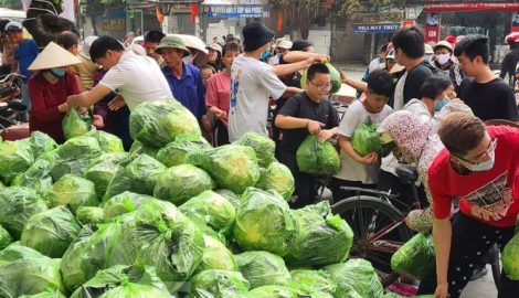 Giải cứu hàng chục tấn nông sản cho Hải Dương