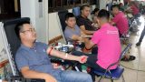 Khoảng 1.500 người tham gia Ngày hội “Những giọt hồng hè” tại Nam Định