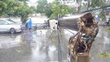 Thiệt hại lớn do bão số 1: Dự báo sai hay địa phương chủ quan? Thiệt hại lớn do bão số 1: Dự báo sai hay địa phương chủ quan?