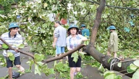 Giáo dục Nam Định: Thiệt hại sau bão không đong đếm được bằng tiền